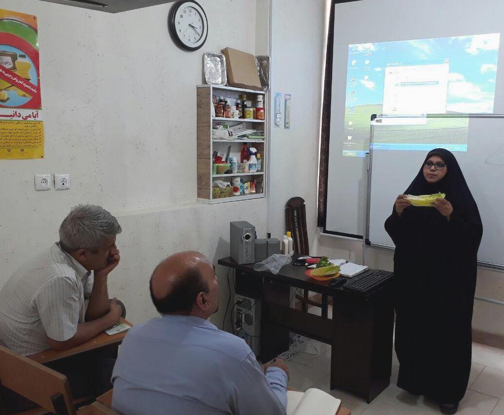 آموزش کاربردی سالم سازی سبزیجات و صیفی جات